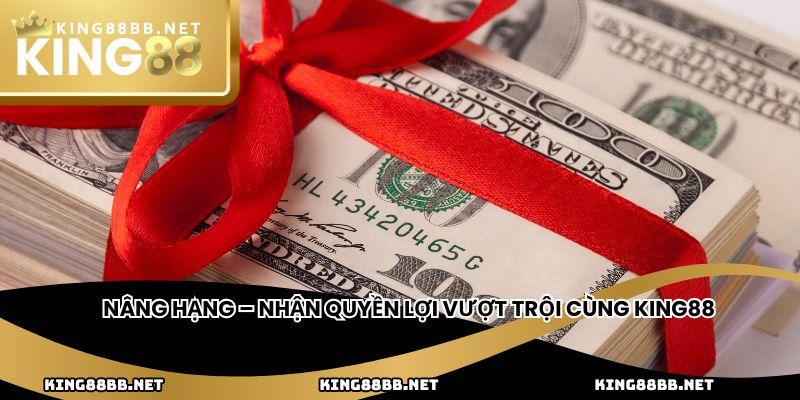 Nâng hạng – nhận quyền lợi vượt trội cùng King88